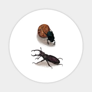 Stag beetle & Sacred scarab Magnet